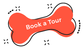 http://poodlepuppyforsaleindia.com/wp-content/uploads/2019/08/book_tour.png